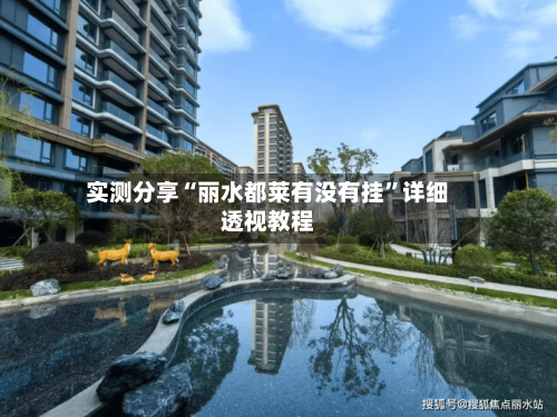 实测分享“丽水都莱有没有挂	”详细透视教程-第2张图片