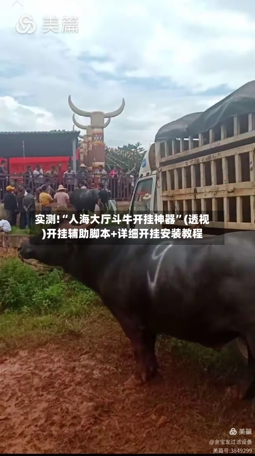 实测!“人海大厅斗牛开挂神器”(透视)开挂辅助脚本+详细开挂安装教程