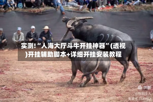 实测!“人海大厅斗牛开挂神器	”(透视)开挂辅助脚本+详细开挂安装教程-第2张图片