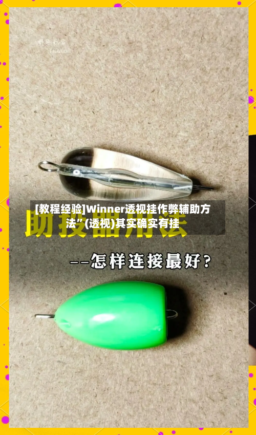 [教程经验]Winner透视挂作弊辅助方法”(透视)其实确实有挂-第2张图片