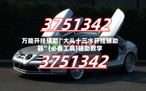 万能开挂辅助“大头十三水开挂辅助器	”(必备工具)辅助教学-第2张图片