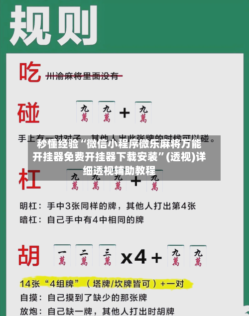 秒懂经验“微信小程序微乐麻将万能开挂器免费开挂器下载安装”(透视)详细透视辅助教程-第2张图片
