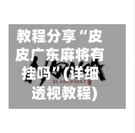 教程分享“皮皮广东麻将有挂吗	”(详细透视教程)-第2张图片