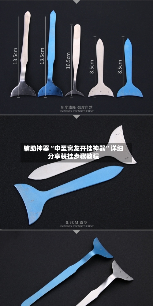 辅助神器“中至窝龙开挂神器”详细分享装挂步骤教程-第2张图片