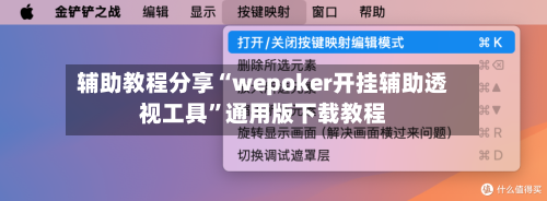 辅助教程分享“wepoker开挂辅助透视工具”通用版下载教程-第2张图片