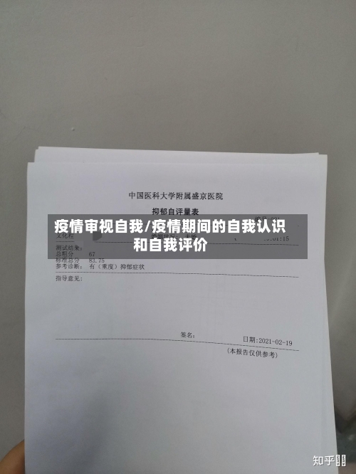 疫情审视自我/疫情期间的自我认识和自我评价
