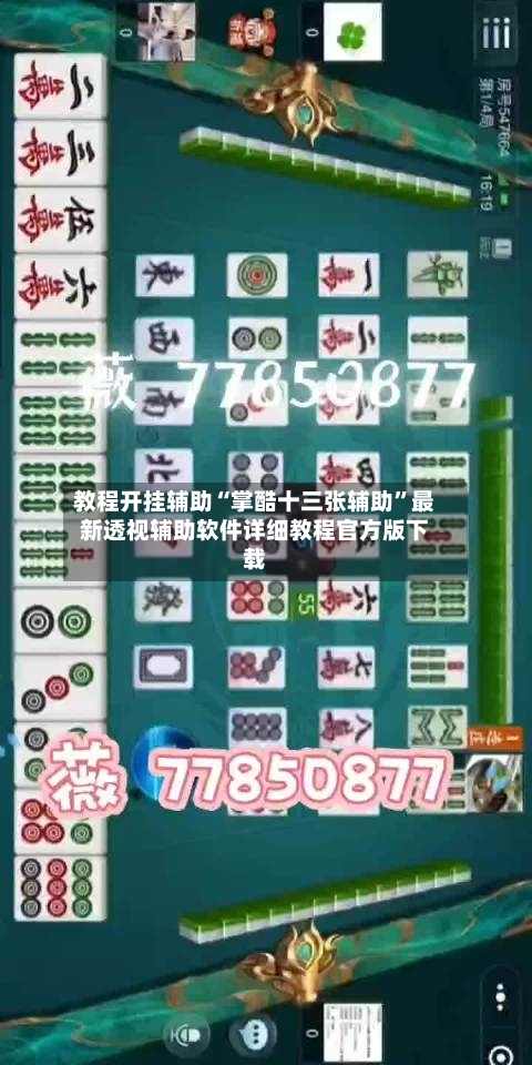 教程开挂辅助“掌酷十三张辅助	”最新透视辅助软件详细教程官方版下载-第2张图片