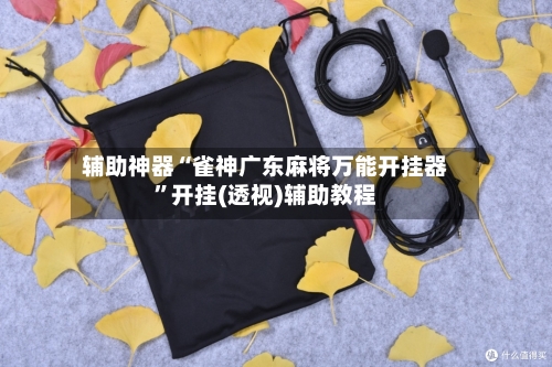 辅助神器“雀神广东麻将万能开挂器”开挂(透视)辅助教程-第3张图片