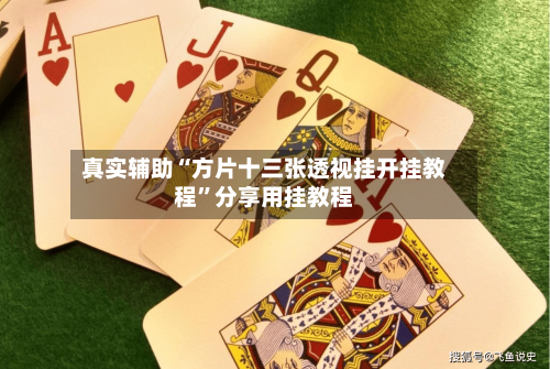 真实辅助“方片十三张透视挂开挂教程	”分享用挂教程-第2张图片