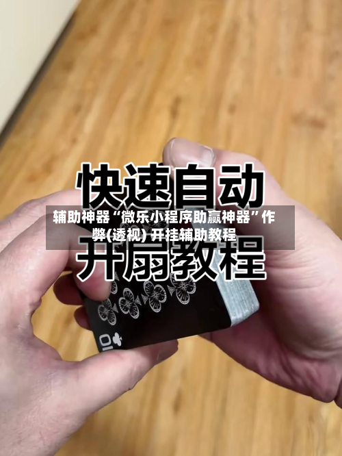 辅助神器“微乐小程序助赢神器”作弊(透视) 开挂辅助教程-第3张图片