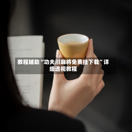 教程辅助“功夫川麻将免费挂下载”详细透视教程-第2张图片