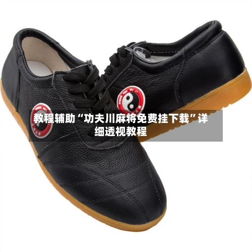 教程辅助“功夫川麻将免费挂下载”详细透视教程-第3张图片