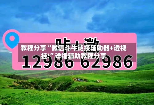 教程分享“微信斗牛链接辅助器+透视挂!”详细辅助教程分享-第3张图片
