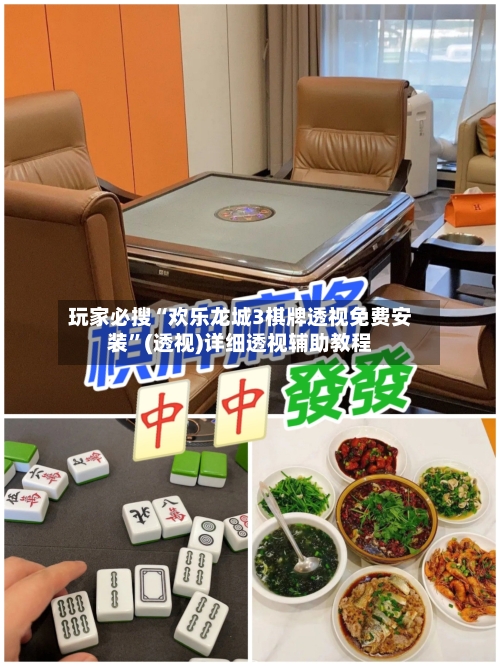 玩家必搜“欢乐龙城3棋牌透视免费安装”(透视)详细透视辅助教程-第3张图片