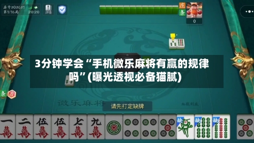 3分钟学会“手机微乐麻将有赢的规律吗”(曝光透视必备猫腻)-第2张图片