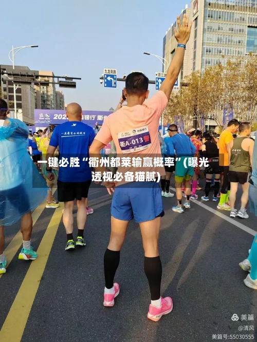 一键必胜“衢州都莱输赢概率	”(曝光透视必备猫腻)-第2张图片