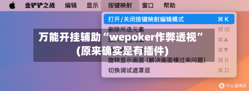 万能开挂辅助“wepoker作弊透视”(原来确实是有插件)-第2张图片