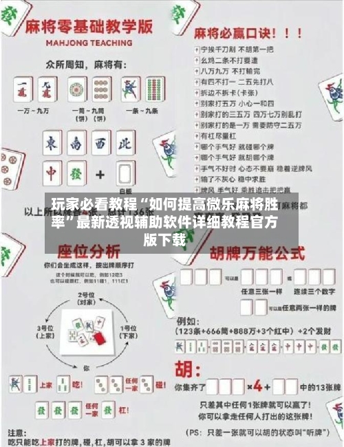 玩家必看教程“如何提高微乐麻将胜率”最新透视辅助软件详细教程官方版下载-第2张图片