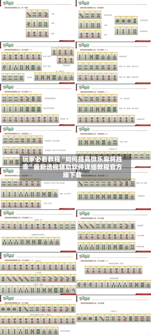 玩家必看教程“如何提高微乐麻将胜率”最新透视辅助软件详细教程官方版下载-第3张图片