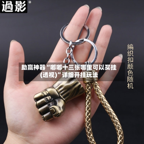 助赢神器“嘟嘟十三张哪里可以买挂(透视)”详细开挂玩法-第2张图片