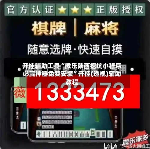 开挂辅助工具“微乐陕西挖坑小程序必赢神器免费安装	”开挂(透视)辅助教程-第2张图片