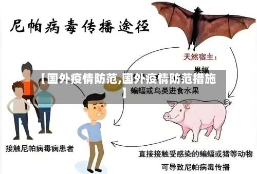 【国外疫情防范,国外疫情防范措施】-第3张图片