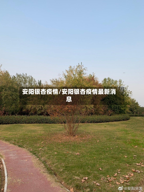 安阳银杏疫情/安阳银杏疫情最新消息-第2张图片