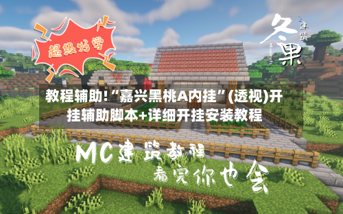 教程辅助!“嘉兴黑桃A内挂”(透视)开挂辅助脚本+详细开挂安装教程-第3张图片