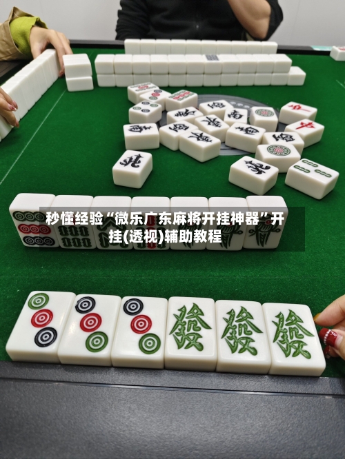 秒懂经验“微乐广东麻将开挂神器”开挂(透视)辅助教程-第2张图片