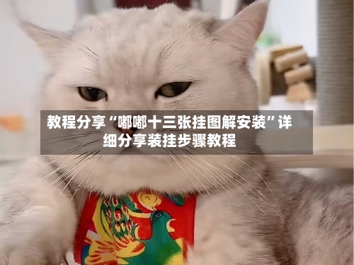 教程分享“嘟嘟十三张挂图解安装”详细分享装挂步骤教程-第2张图片