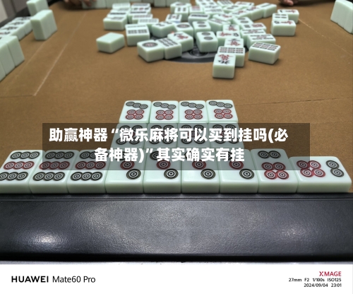 助赢神器“微乐麻将可以买到挂吗(必备神器)”其实确实有挂-第2张图片