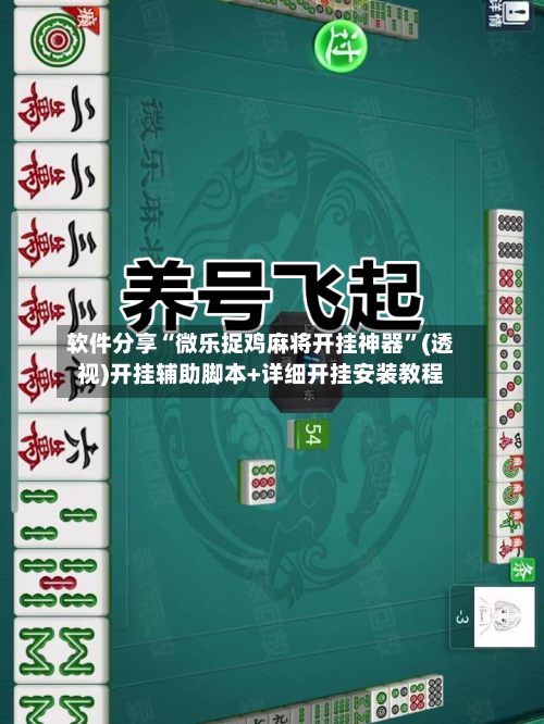 软件分享“微乐捉鸡麻将开挂神器”(透视)开挂辅助脚本+详细开挂安装教程-第2张图片