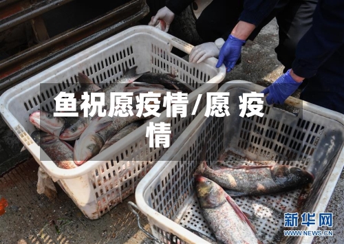 鱼祝愿疫情/愿 疫情