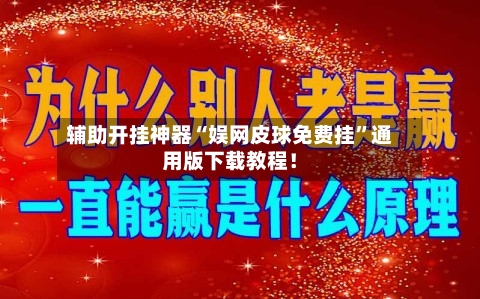 辅助开挂神器“娱网皮球免费挂”通用版下载教程！-第2张图片