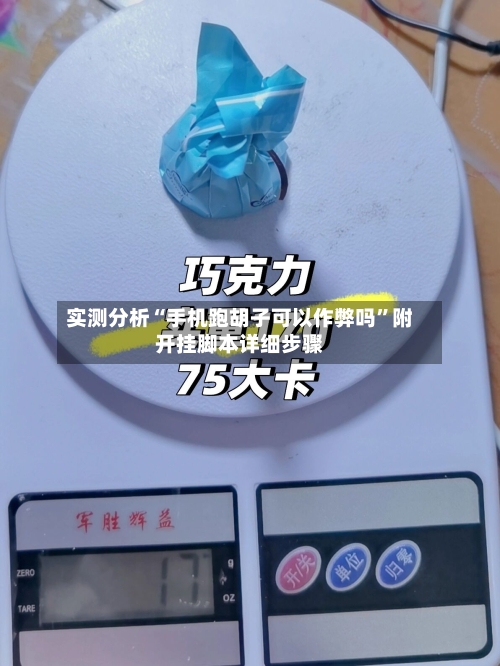 实测分析“手机跑胡子可以作弊吗”附开挂脚本详细步骤-第3张图片