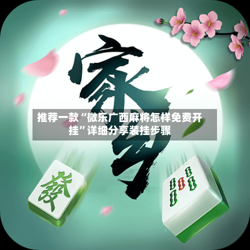 推荐一款“微乐广西麻将怎样免费开挂”详细分享装挂步骤-第3张图片