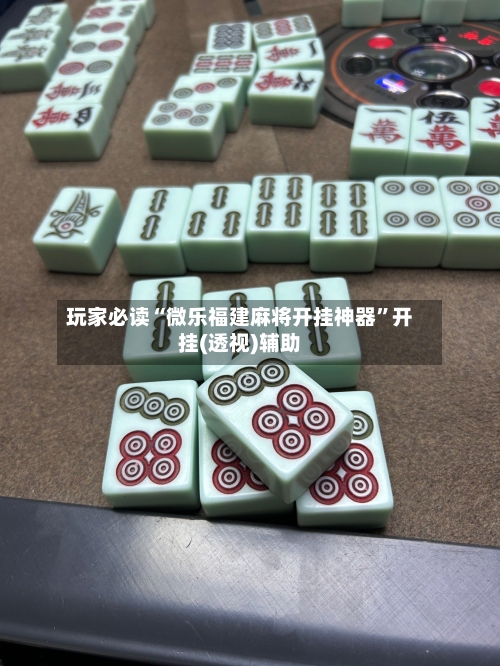 玩家必读“微乐福建麻将开挂神器	”开挂(透视)辅助-第2张图片