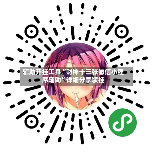 辅助开挂工具“财神十三张微信小程序辅助”详细分享装挂-第2张图片