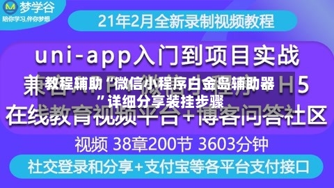 教程辅助“微信小程序白金岛辅助器”详细分享装挂步骤