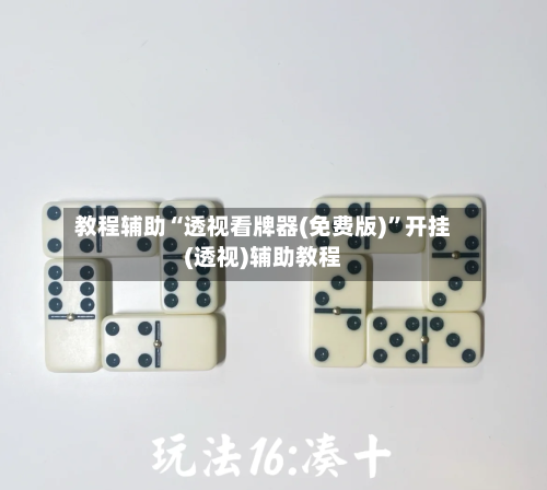 教程辅助“透视看牌器(免费版)”开挂(透视)辅助教程-第3张图片