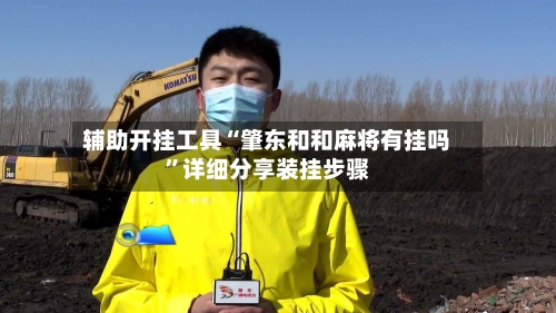 辅助开挂工具“肇东和和麻将有挂吗”详细分享装挂步骤-第3张图片