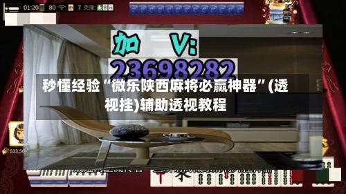 秒懂经验“微乐陕西麻将必赢神器”(透视挂)辅助透视教程-第3张图片