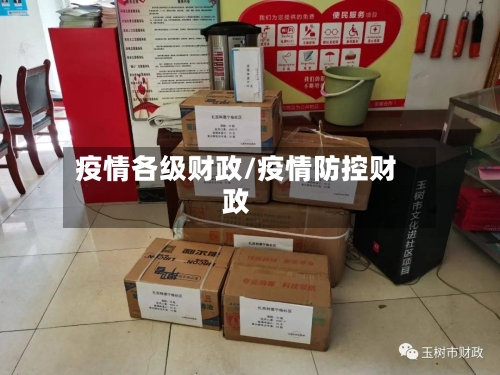 疫情各级财政/疫情防控财政-第2张图片