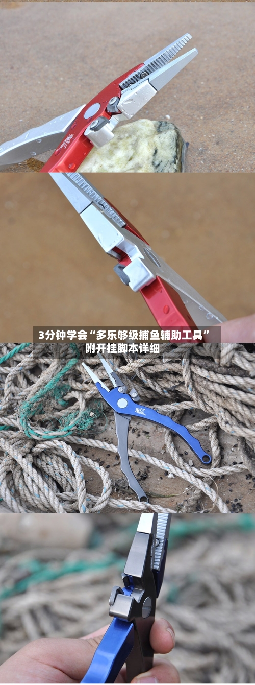 3分钟学会“多乐够级捕鱼辅助工具	”附开挂脚本详细-第3张图片