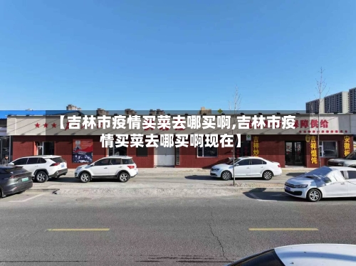 【吉林市疫情买菜去哪买啊,吉林市疫情买菜去哪买啊现在】-第2张图片