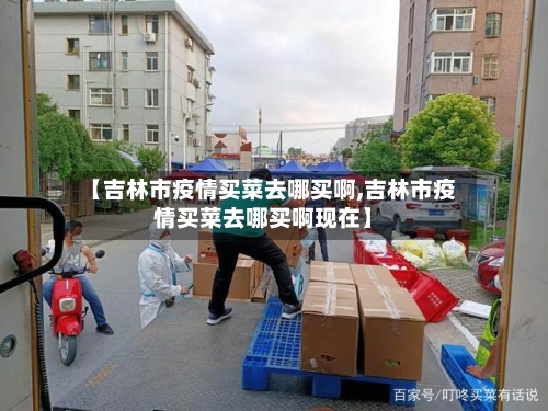 【吉林市疫情买菜去哪买啊,吉林市疫情买菜去哪买啊现在】-第3张图片