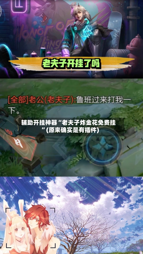 辅助开挂神器“老夫子炸金花免费挂”(原来确实是有插件)-第2张图片