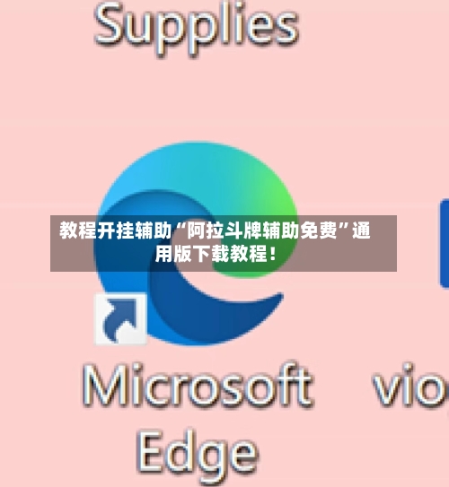教程开挂辅助“阿拉斗牌辅助免费”通用版下载教程！-第2张图片