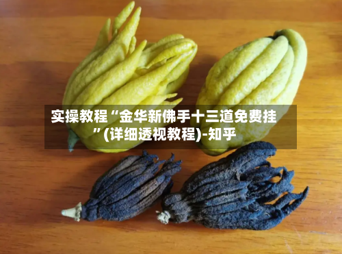实操教程“金华新佛手十三道免费挂	”(详细透视教程)-知乎-第2张图片