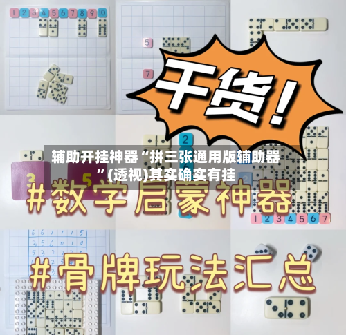 辅助开挂神器“拼三张通用版辅助器”(透视)其实确实有挂-第2张图片